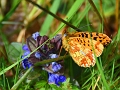 15 05 16_6253_edited-2